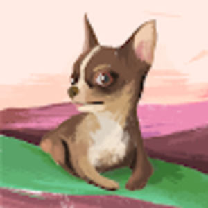 Meet your Posher, Cadence